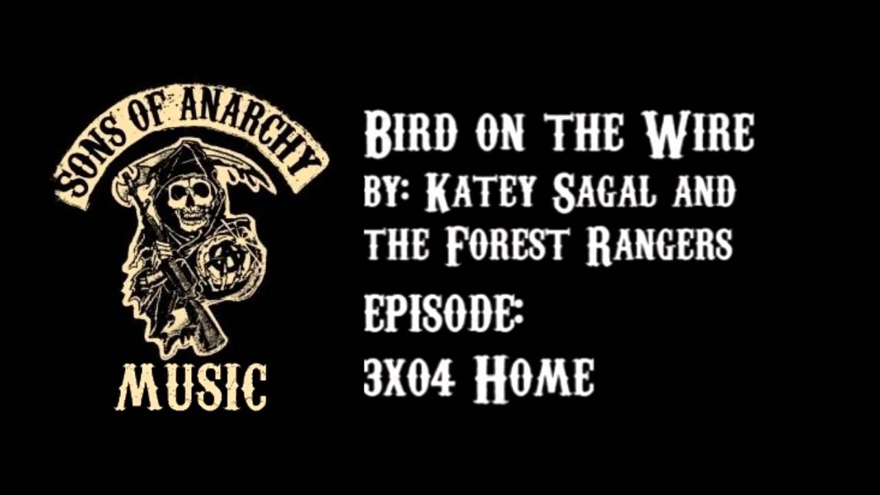 Katey Sagal Bird On A Wire Lyrics