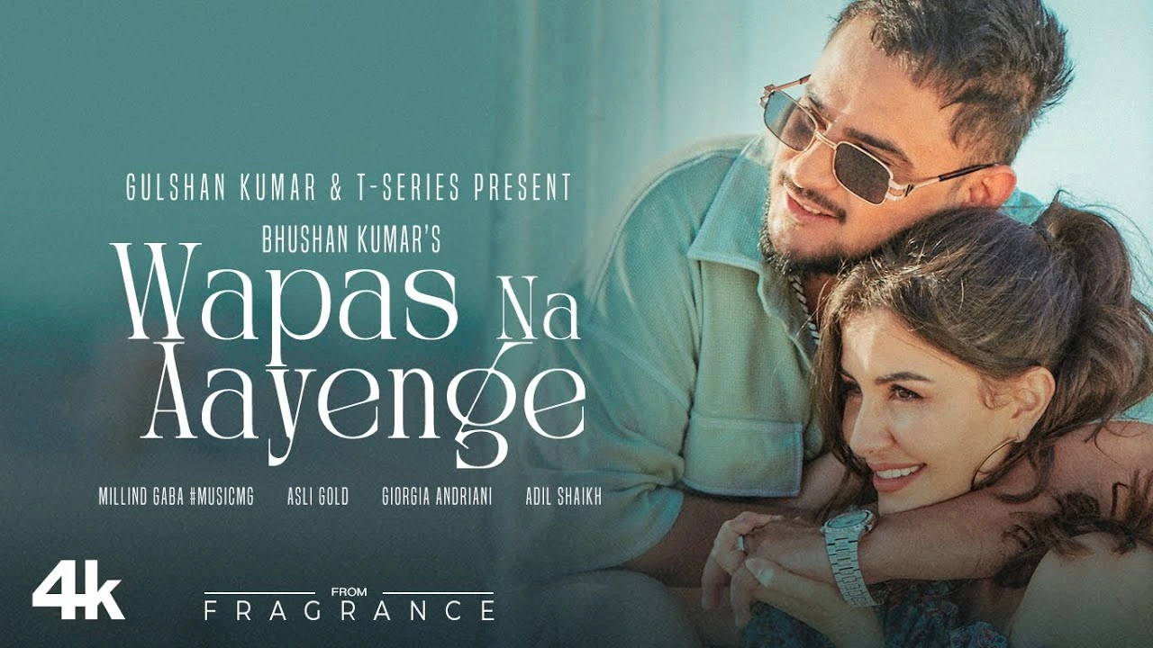 Wapas Na Aayenge Lyrics
