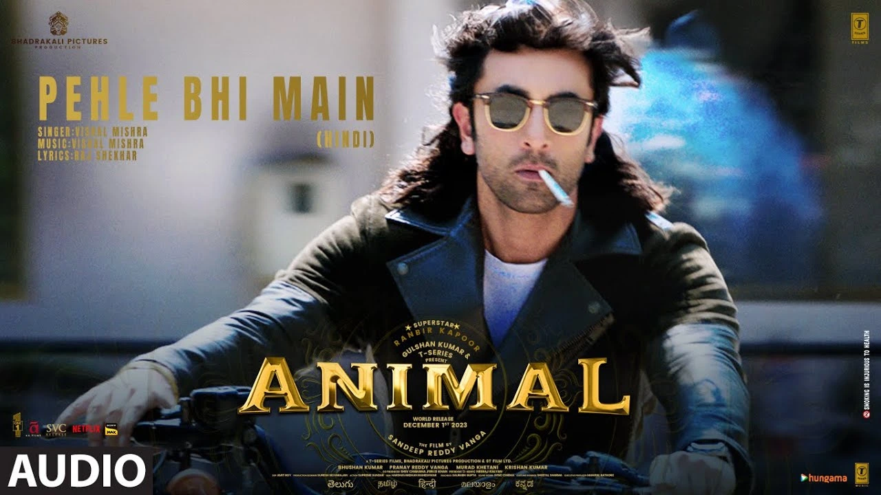 Pehle Bhi Main Lyrics – पहले भी मैं लिरिक्स – Animal